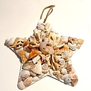 10 Inch Shell Star